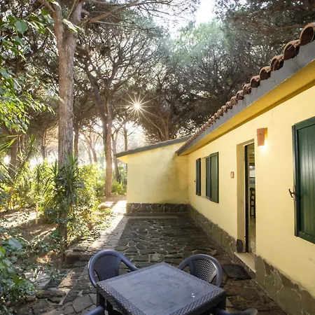 Nature & Country Near The Sea Arborea